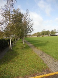 A learning experience is one of those things that says, ‘You know that thing you just did? Don’t do that.’ (Douglas Adams, The Salmon of Doubt)